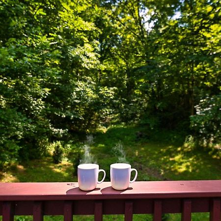 Smoky Mountains Hut Tub Cabin Dog Friendly Sevierville Exterior photo